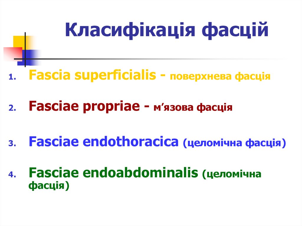 Класифікація фасцій