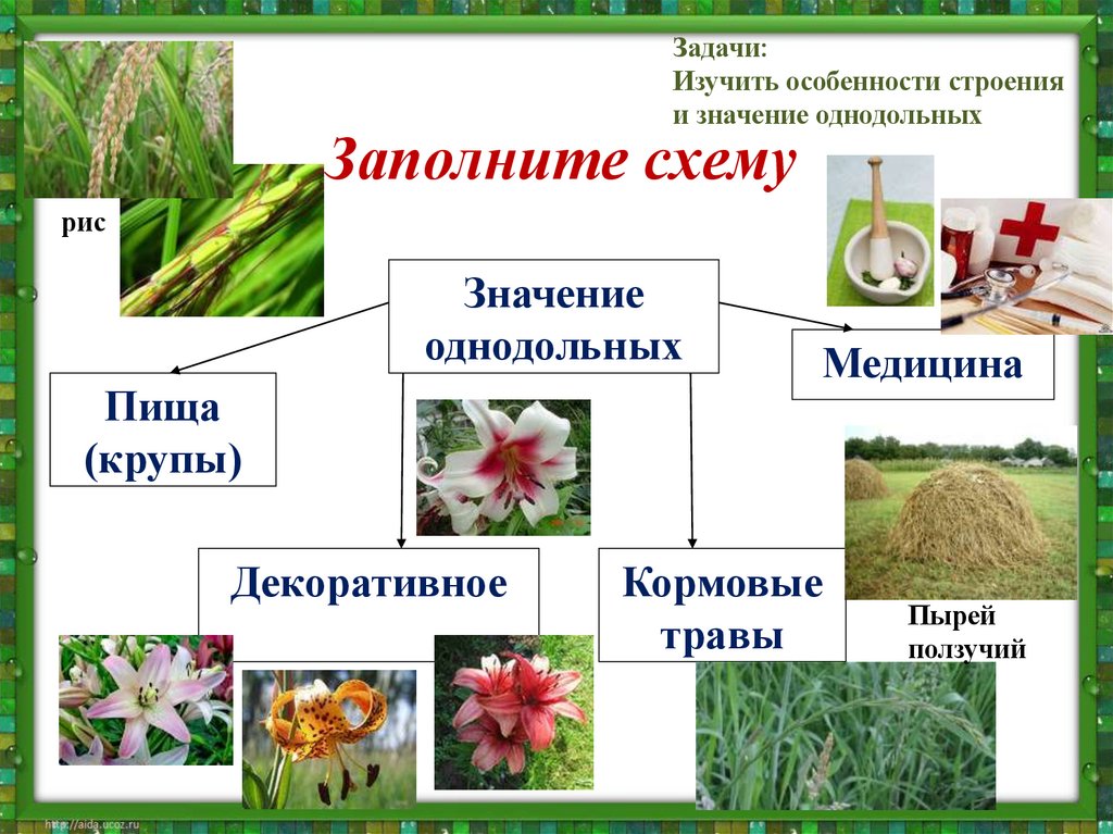 Заполните схему