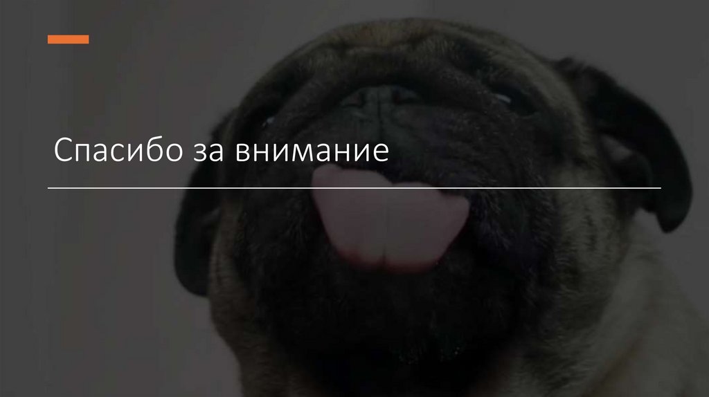 Спасибо за внимание