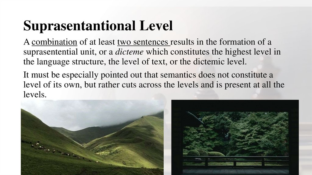 Suprasentantional Level