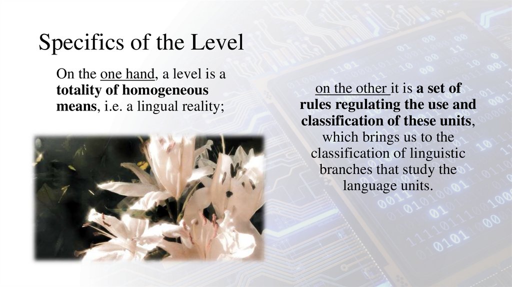 Specifics of the Level