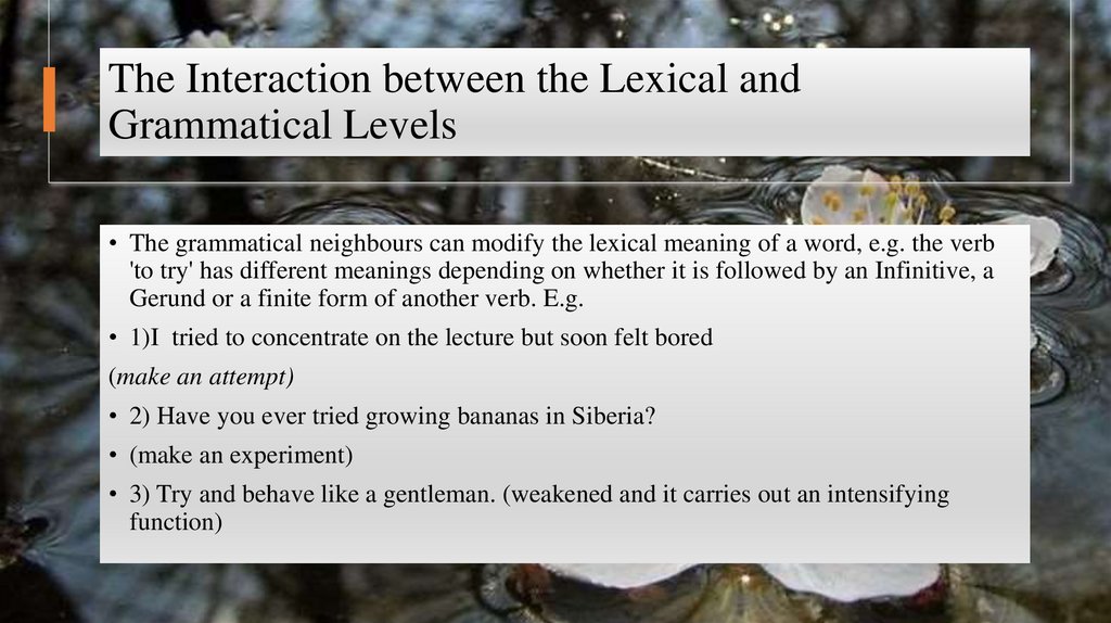 The Interaction between the Lexical and Grammatical Levels