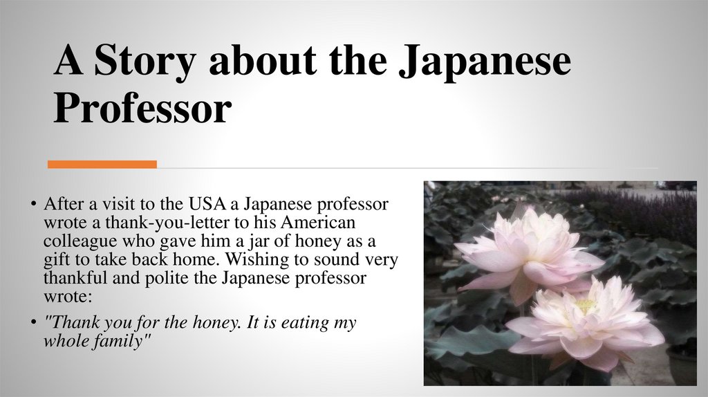 A Story about the Japanese Professor