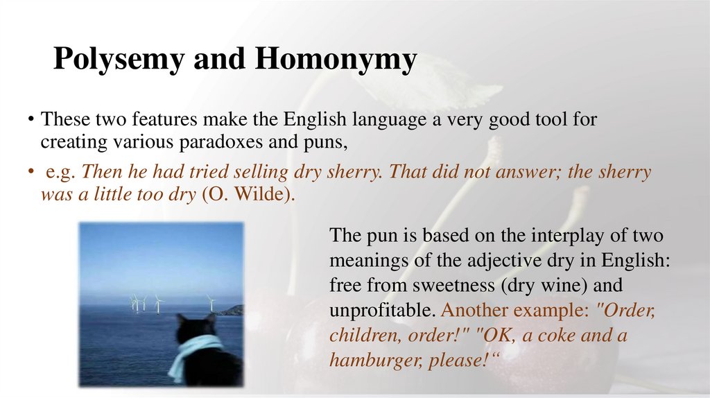 Polysemy and Homonymy