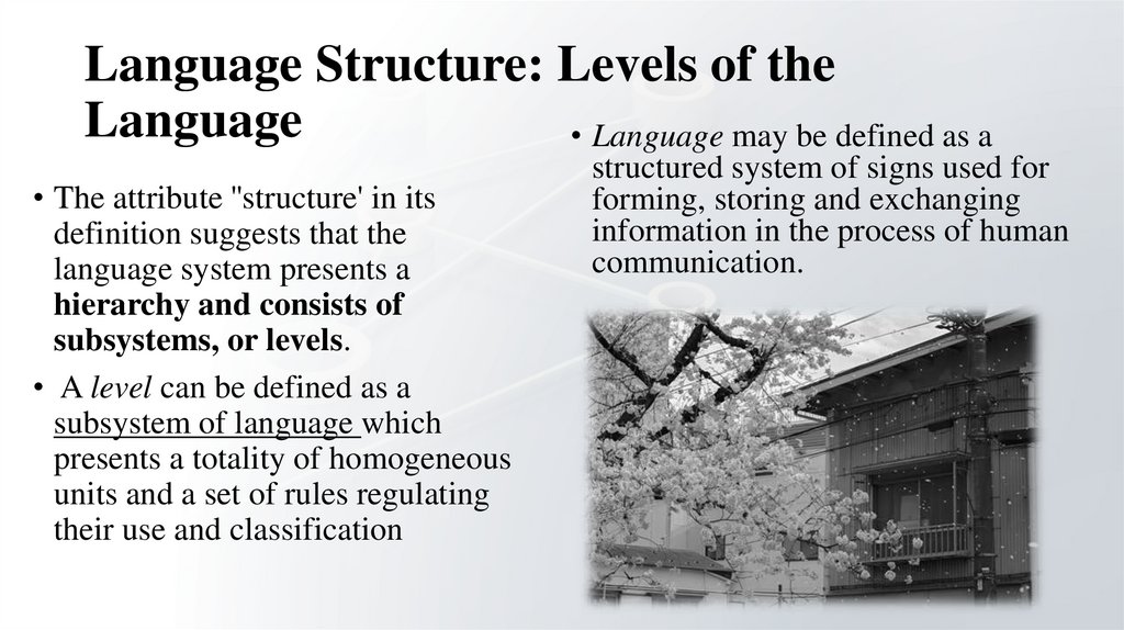 Language Structure: Levels of the Language