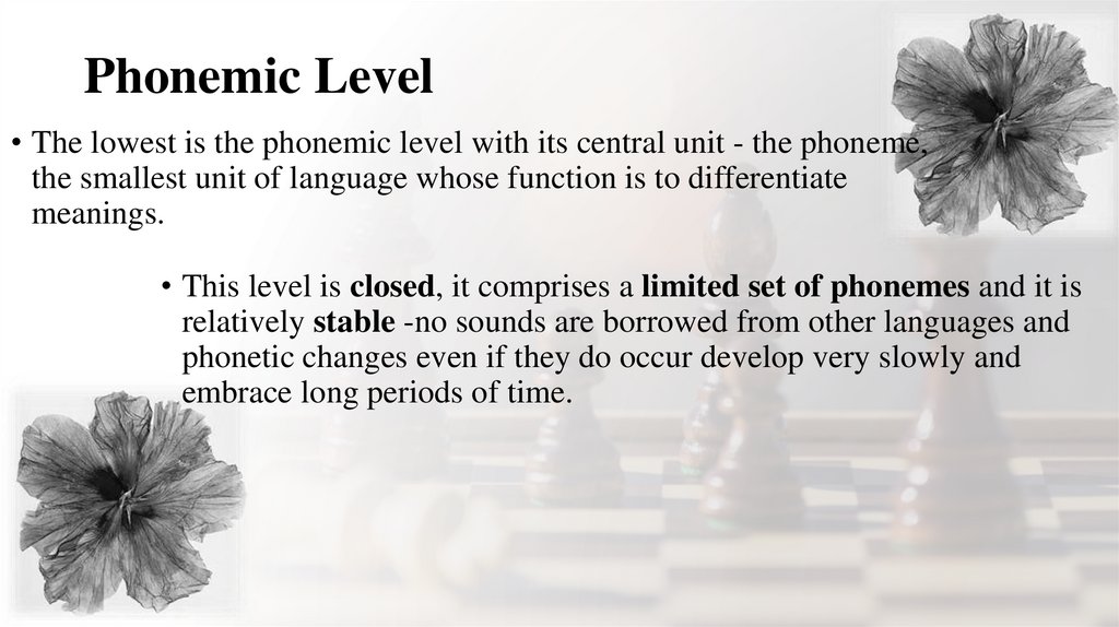 Phonemic Level
