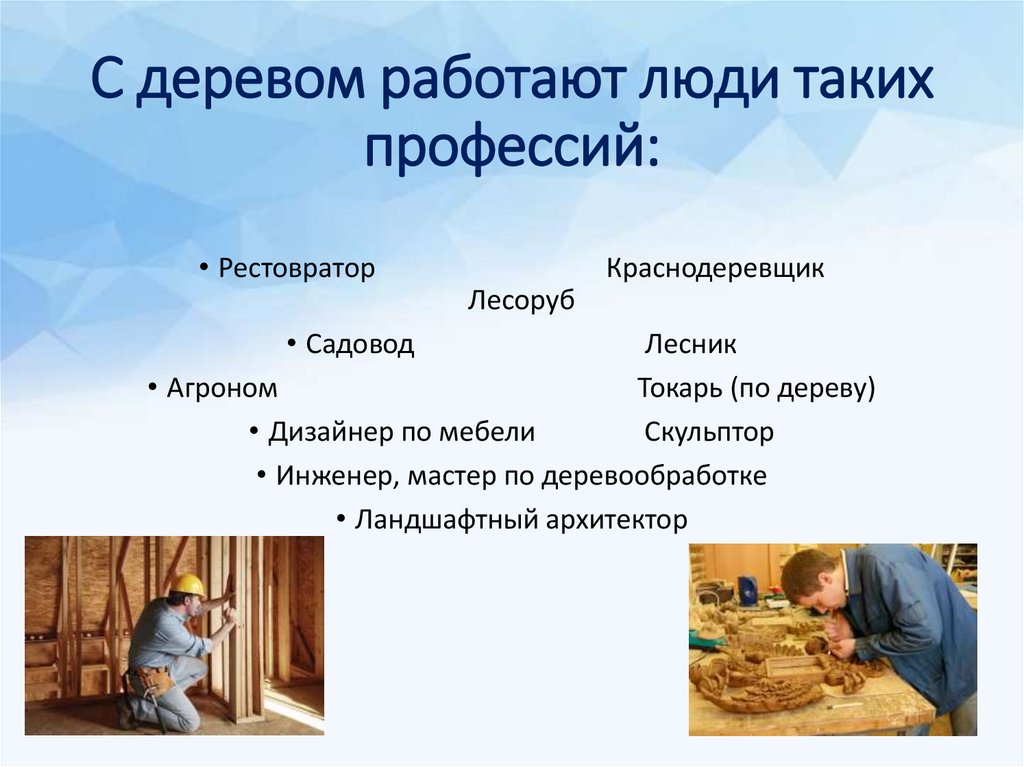 С деревом работают люди таких профессий: