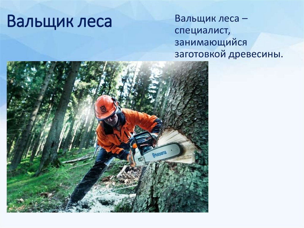 Вальщик леса