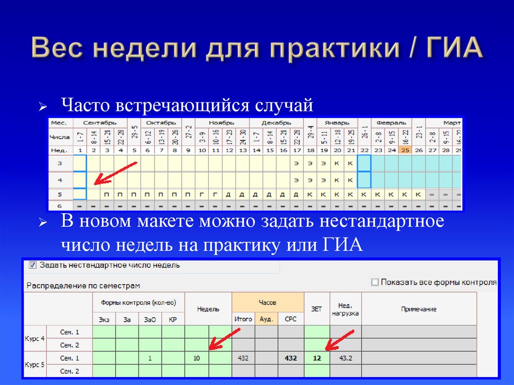 Вес недели для практики / ГИА