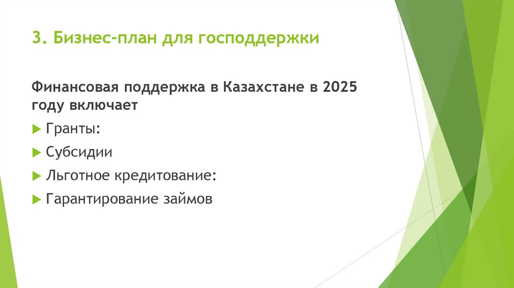3. Бизнес-план для господдержки