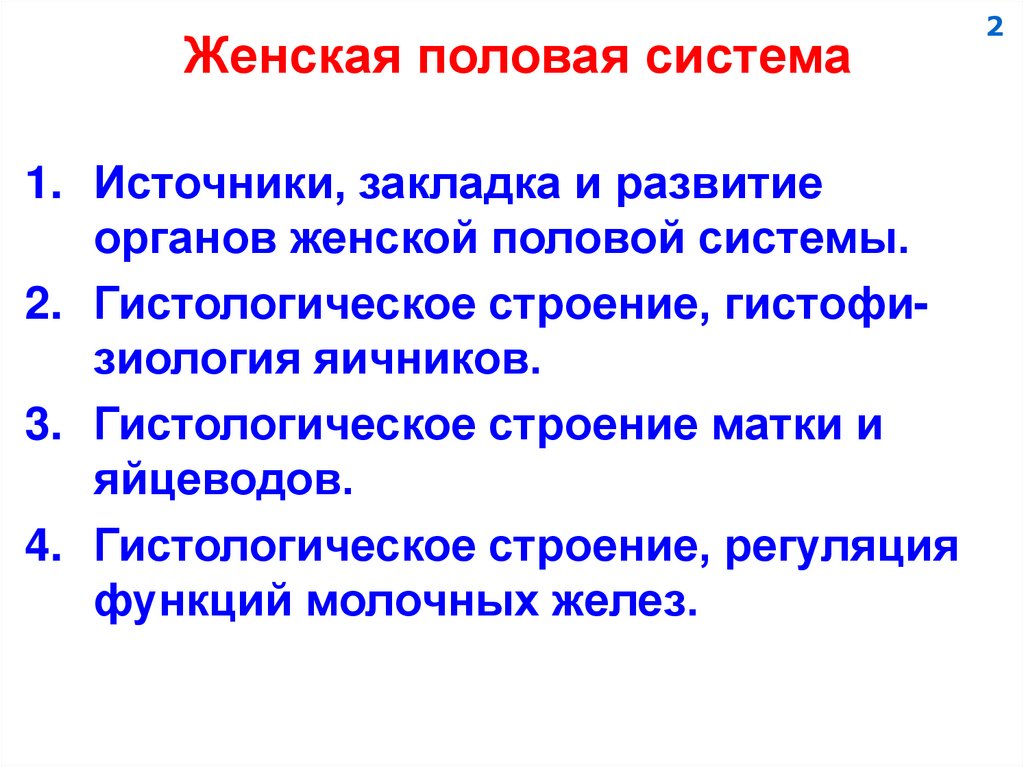 Женская половая система