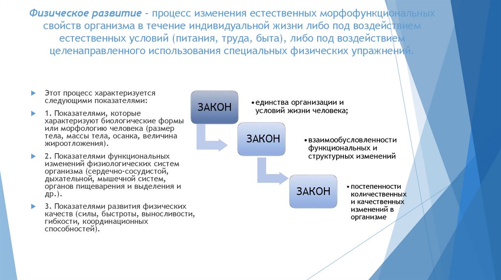 Физическое развитие - процесс изменения естественных морфофункциональных свойств организма в течение индивидуальной жизни либо