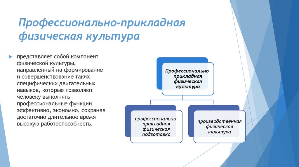 Профессионально-прикладная физическая культура