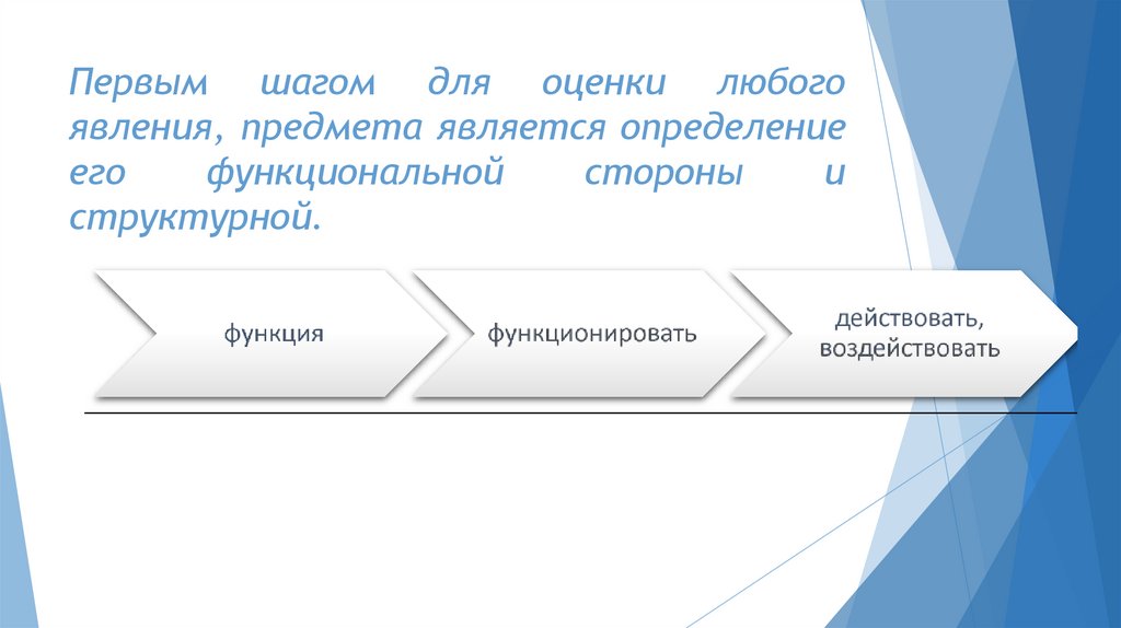 Первым шагом для оценки любого явления, предмета является определение его функциональной стороны и структурной.