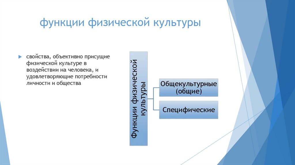 функции физической культуры