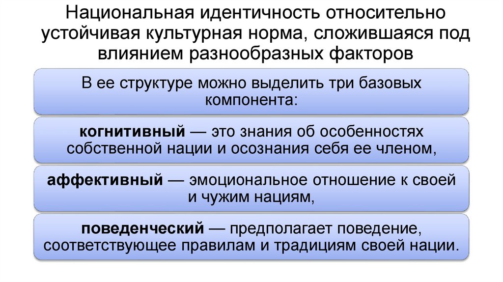 Национальная идентичность относительно устойчивая культурная норма, сложившаяся под влиянием разнообразных факторов