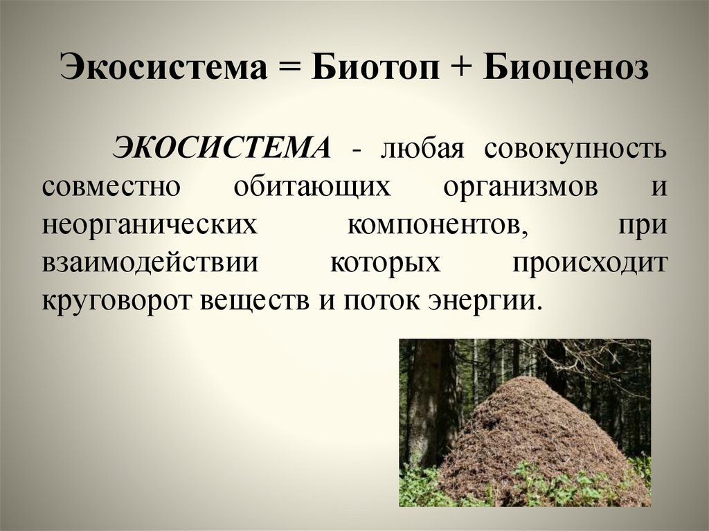 Экосистема = Биотоп + Биоценоз