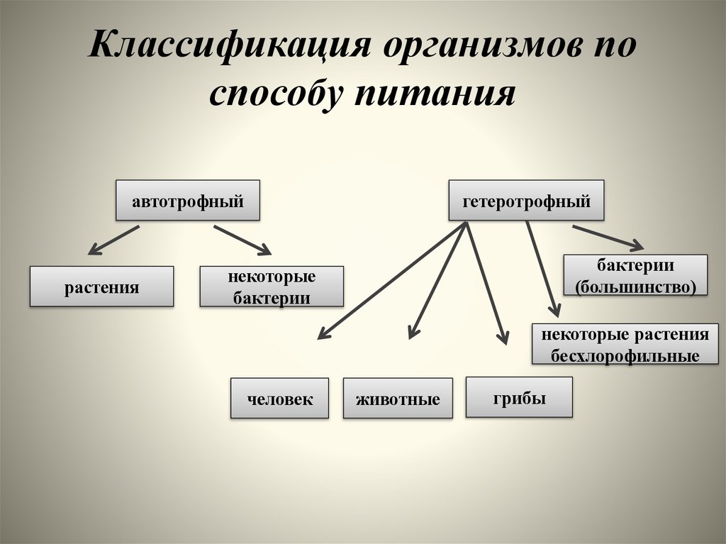 Классификация организмов по способу питания