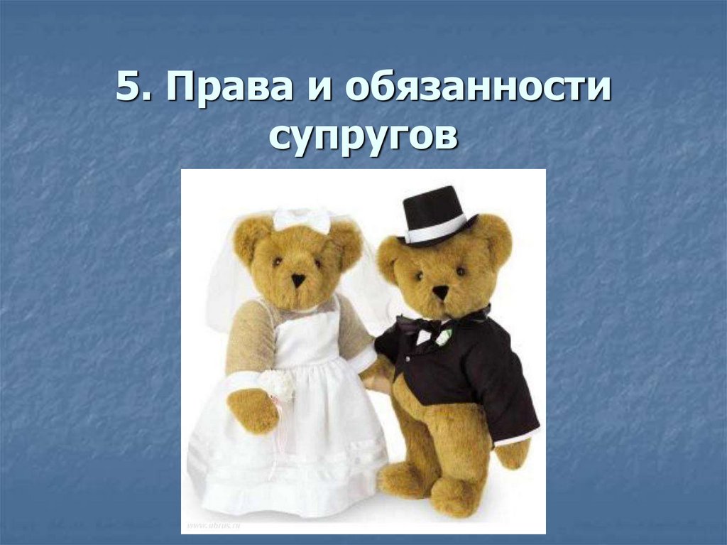 5. Права и обязанности супругов