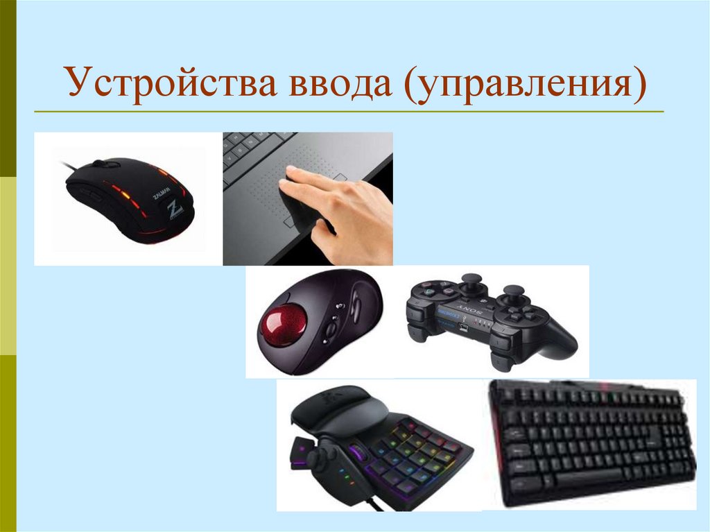 Устройства ввода (управления)