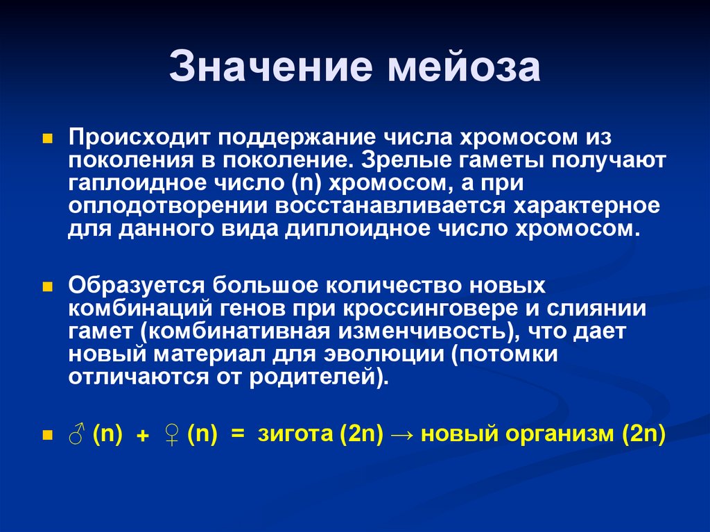 Значение мейоза