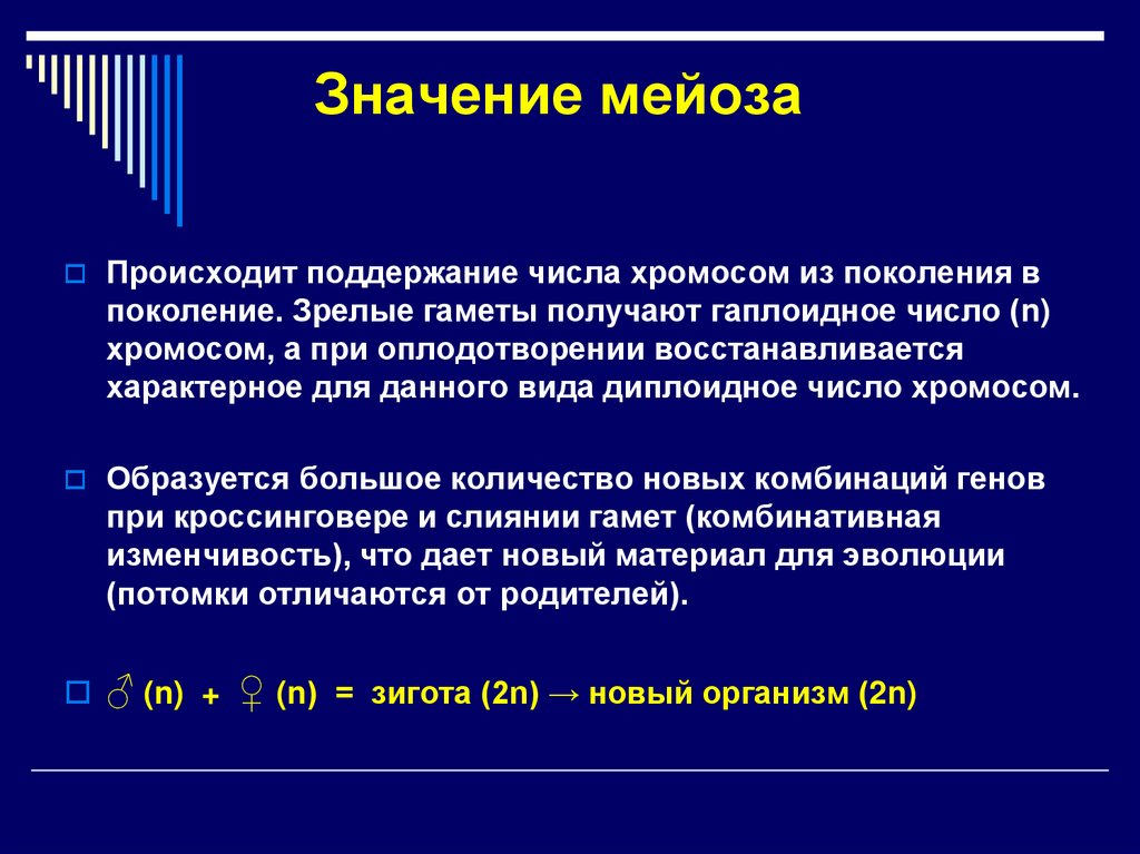 Значение мейоза