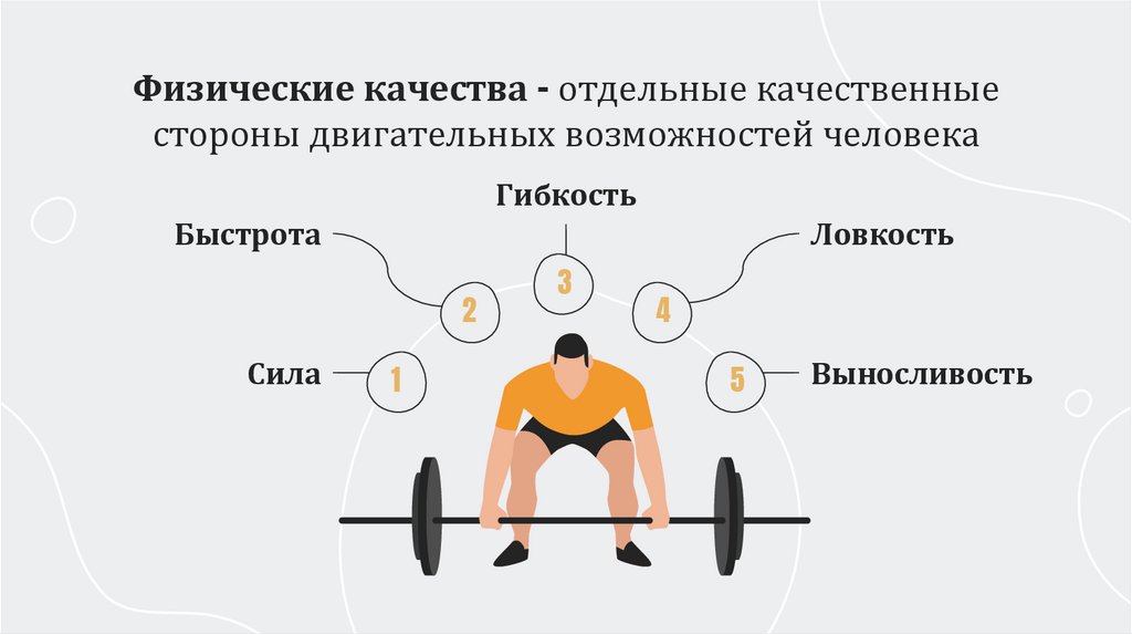 Физические качества – отдельные качественные стороны двигательных возможностей человека