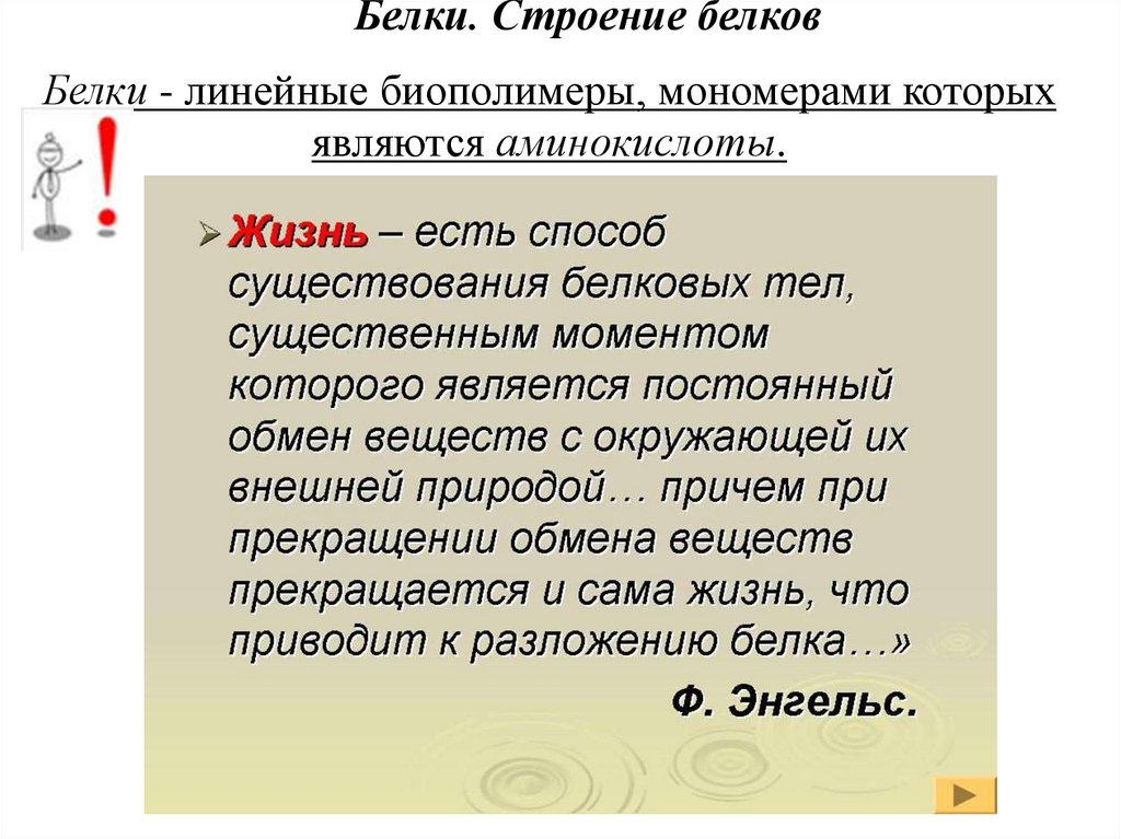 Белки. Строение белков