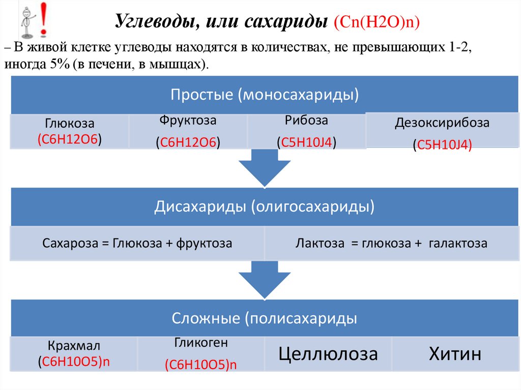 Углеводы, или сахариды (Сn(H2O)n)