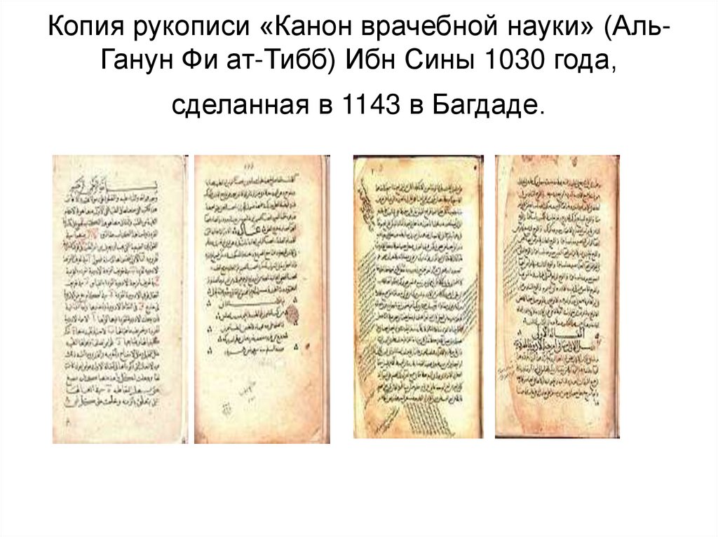 Копия рукописи «Канон врачебной науки» (Аль-Ганун Фи ат-Тибб) Ибн Сины 1030 года, сделанная в 1143 в Багдаде.