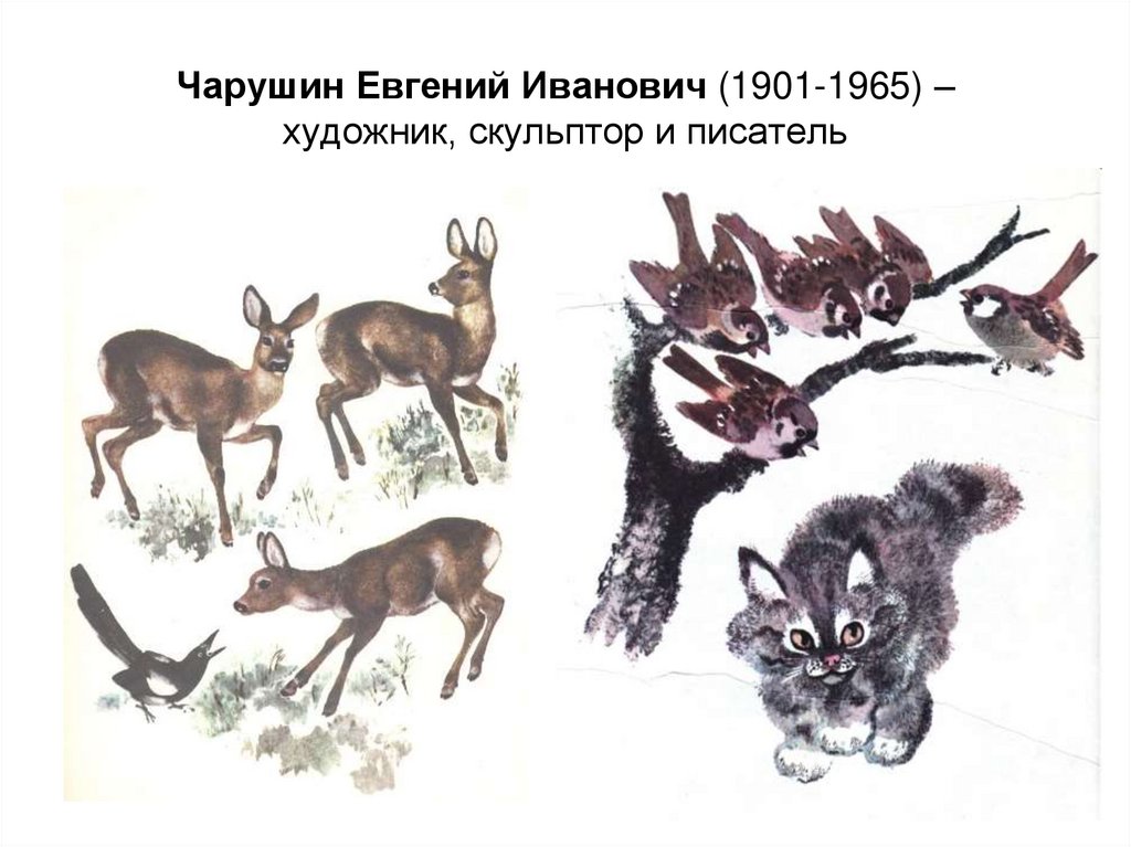 Чарушин Евгений Иванович (1901-1965) – художник, скульптор и писатель