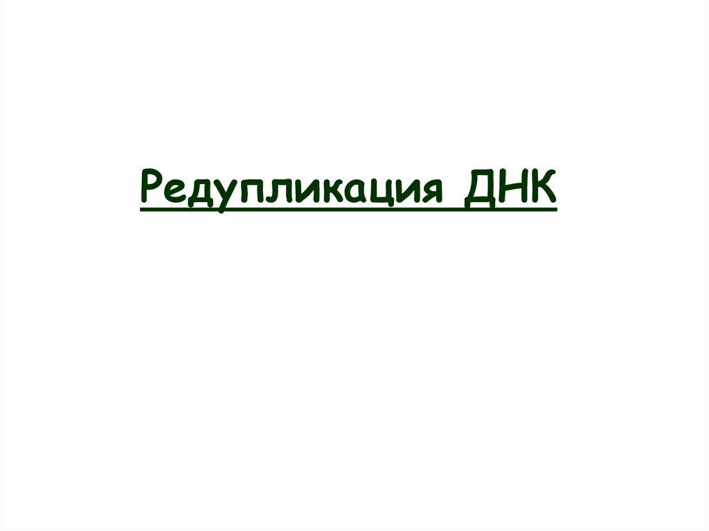 Редупликация ДНК