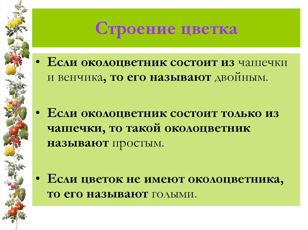 Строение цветка