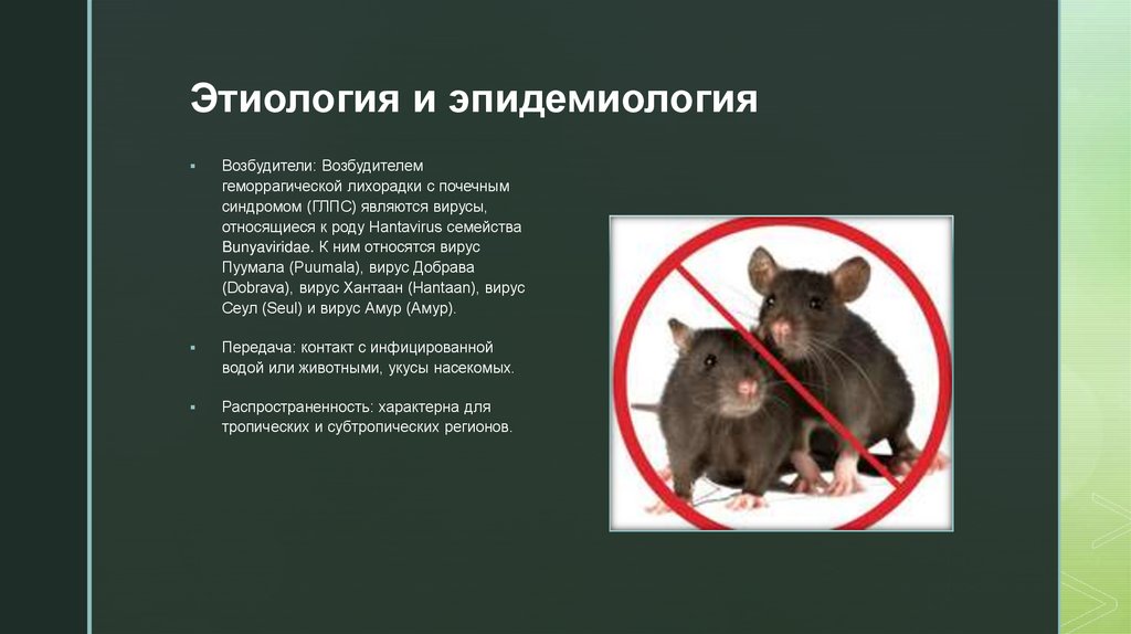 Этиология и эпидемиология