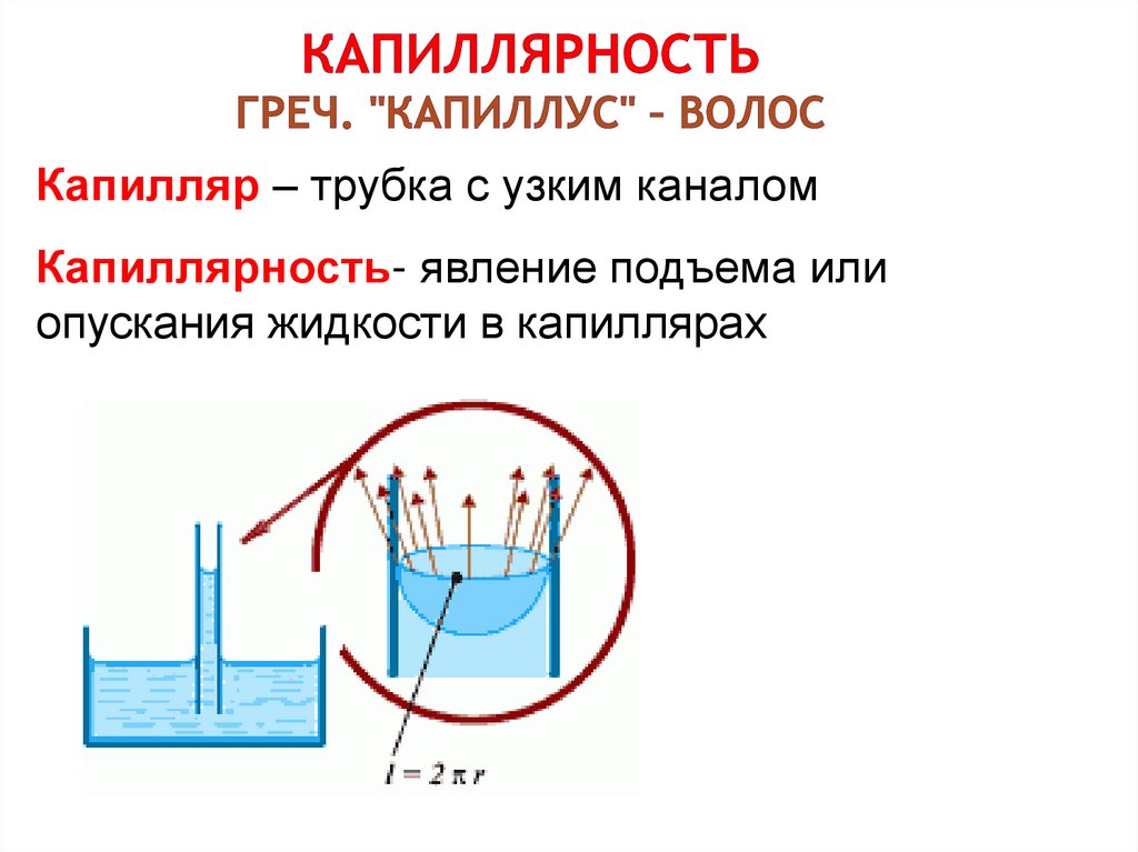 Капиллярность греч. "капиллус" – волос