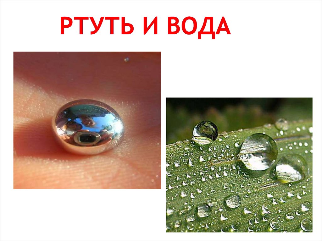 Ртуть и вода