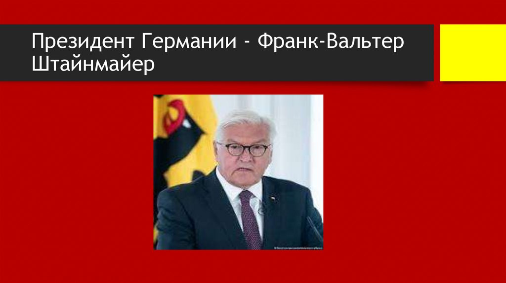 Президент Германии - Франк-Вальтер Штайнмайер