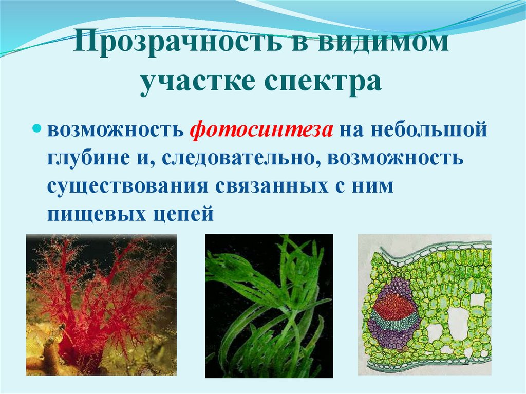 Прозрачность в видимом участке спектра