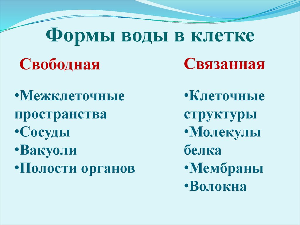 Формы воды в клетке