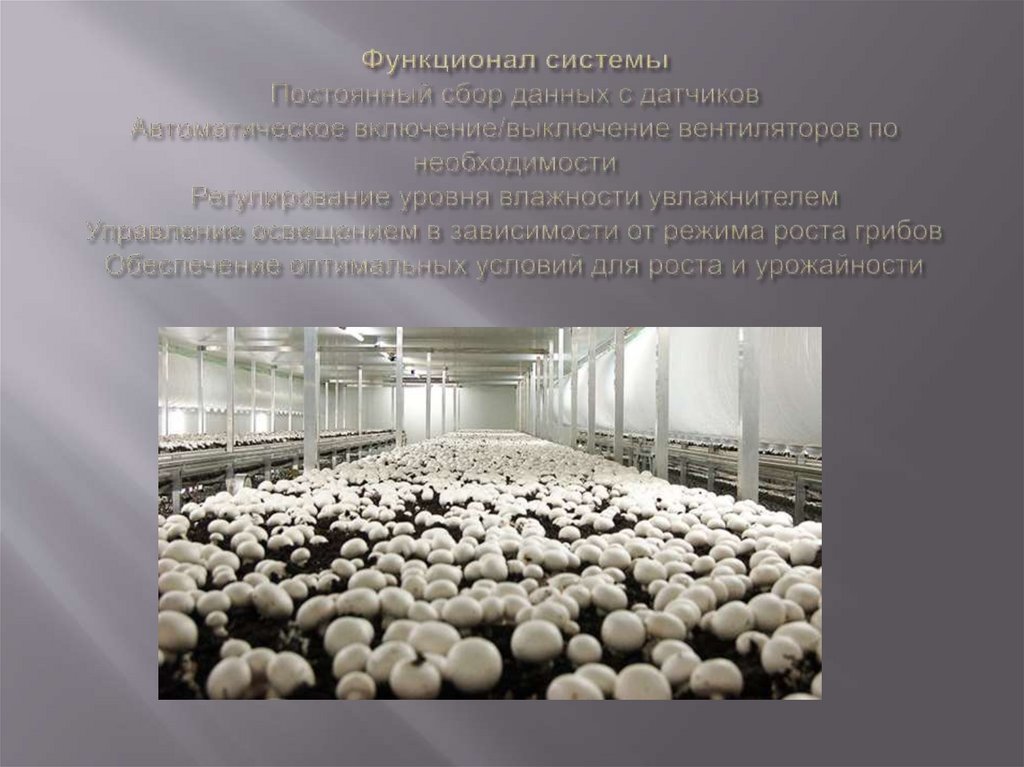 Функционал системы Постоянный сбор данных с датчиков Автоматическое включение/выключение вентиляторов по необходимости