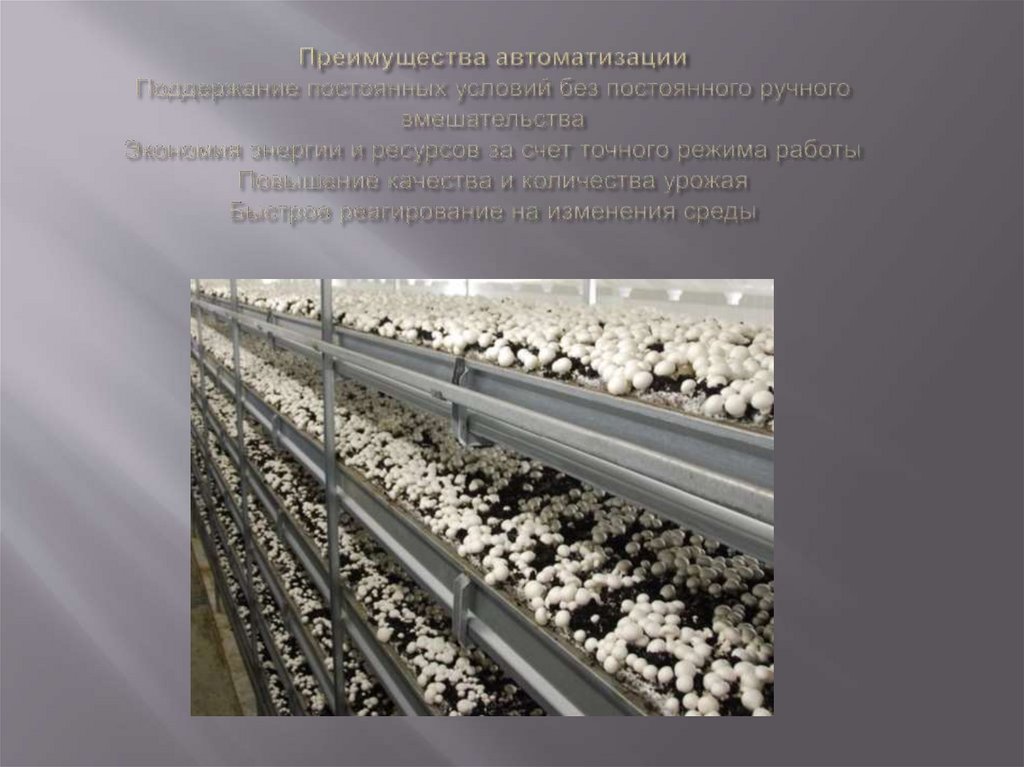 Преимущества автоматизации Поддержание постоянных условий без постоянного ручного вмешательства Экономия энергии и ресурсов за