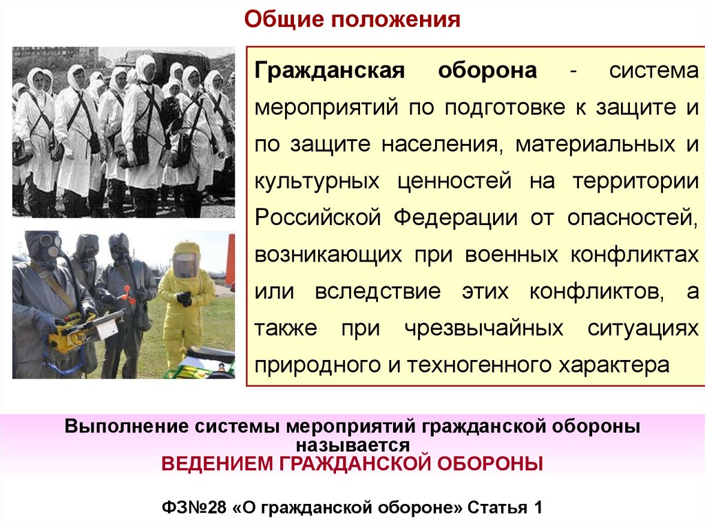 Общие положения