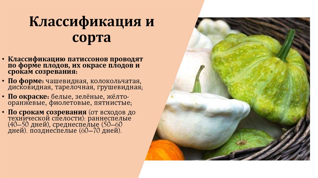 Классификация и сорта