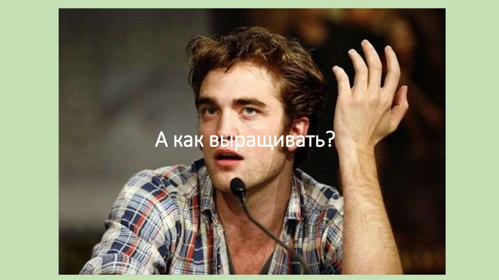 А как выращивать?