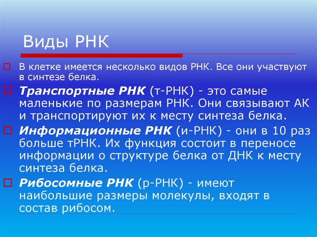 Виды РНК