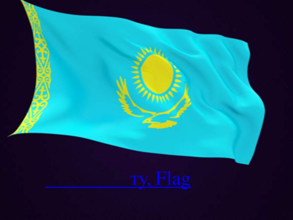 ту, Flag