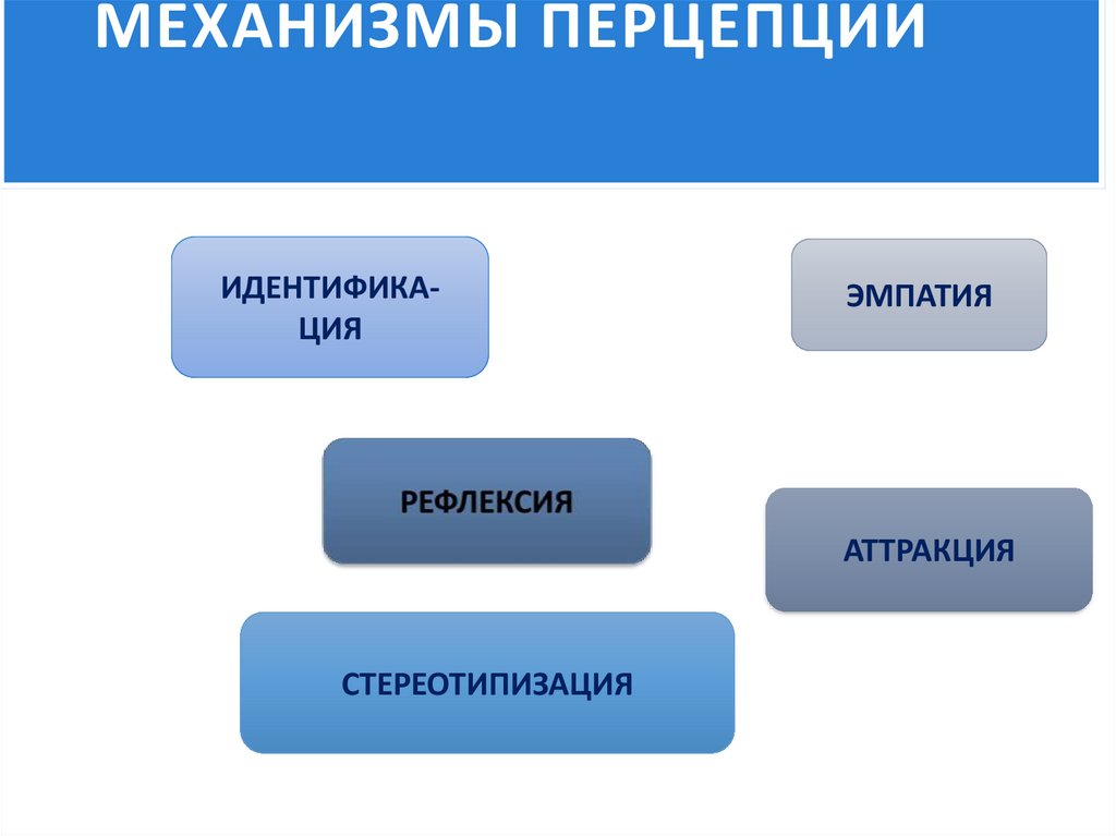 МЕХАНИЗМЫ ПЕРЦЕПЦИИ