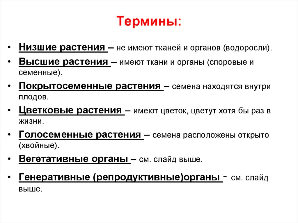 Термины: