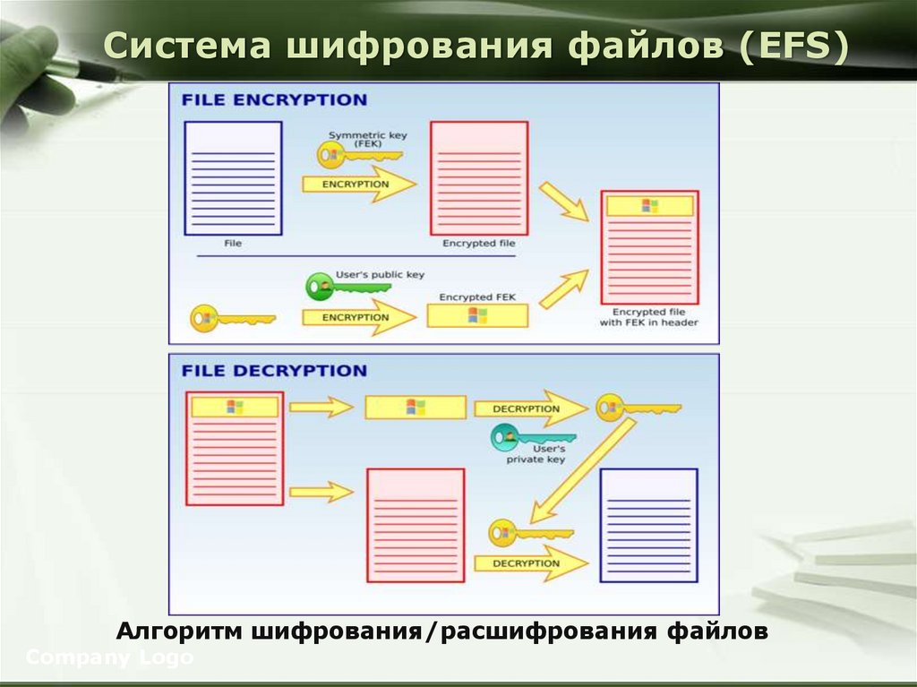 Система шифрования файлов (EFS)