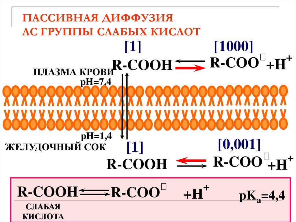 ПАССИВНАЯ ДИФФУЗИЯ ЛС ГРУППЫ СЛАБЫХ КИСЛОТ